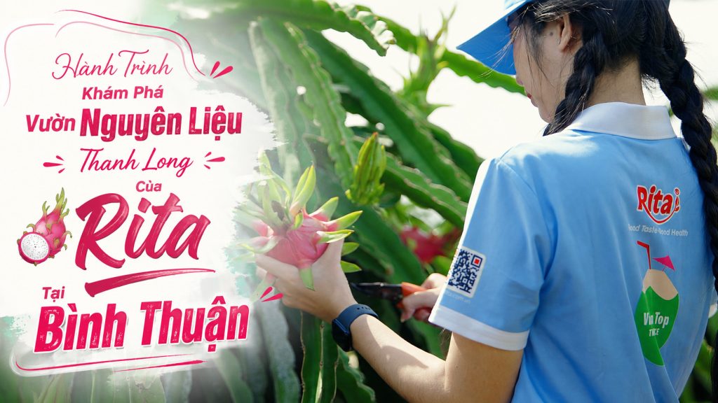 Hành Trình Khám Phá Vườn Nguyên Liệu Thanh Long Của Rita Tại Bình Thuận