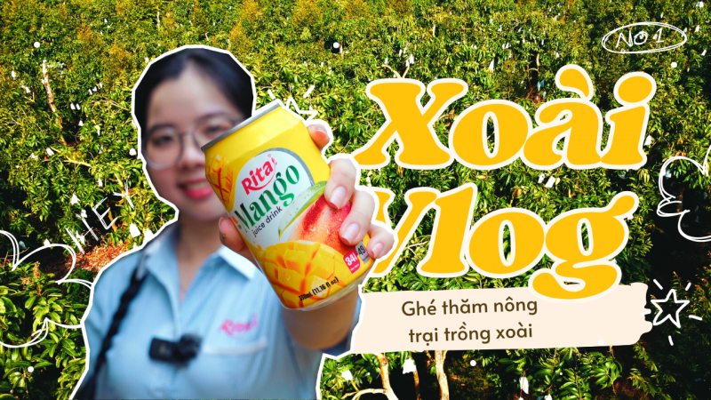 Hành Trình Từ Vườn Xoài Đến Sản Phẩm Nước Ép Cao Cấp Của Nước Giải Khát Rita