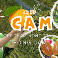 Trải Nghiệm Vườn Cam – Hành Trình Từ Trang Trại Đến Ly Nước Ép Rita Tươi Ngon