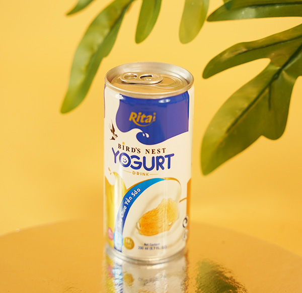sữa chua yến sào tiệt trùng Yogurt RITA tìm nhà phân phối sữa chua yến sào tiệt trùng Yogurt RITA tìm nhà phân phối