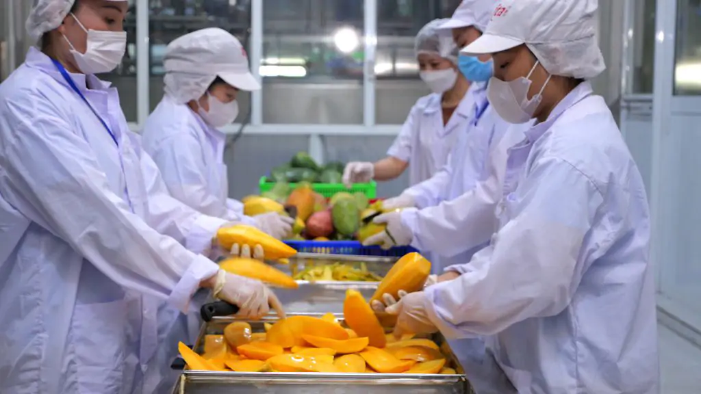 Hành Trình Từ Vườn Xoài Đến Sản Phẩm Nước Ép Cao Cấp Của Nước Giải Khát Rita 5