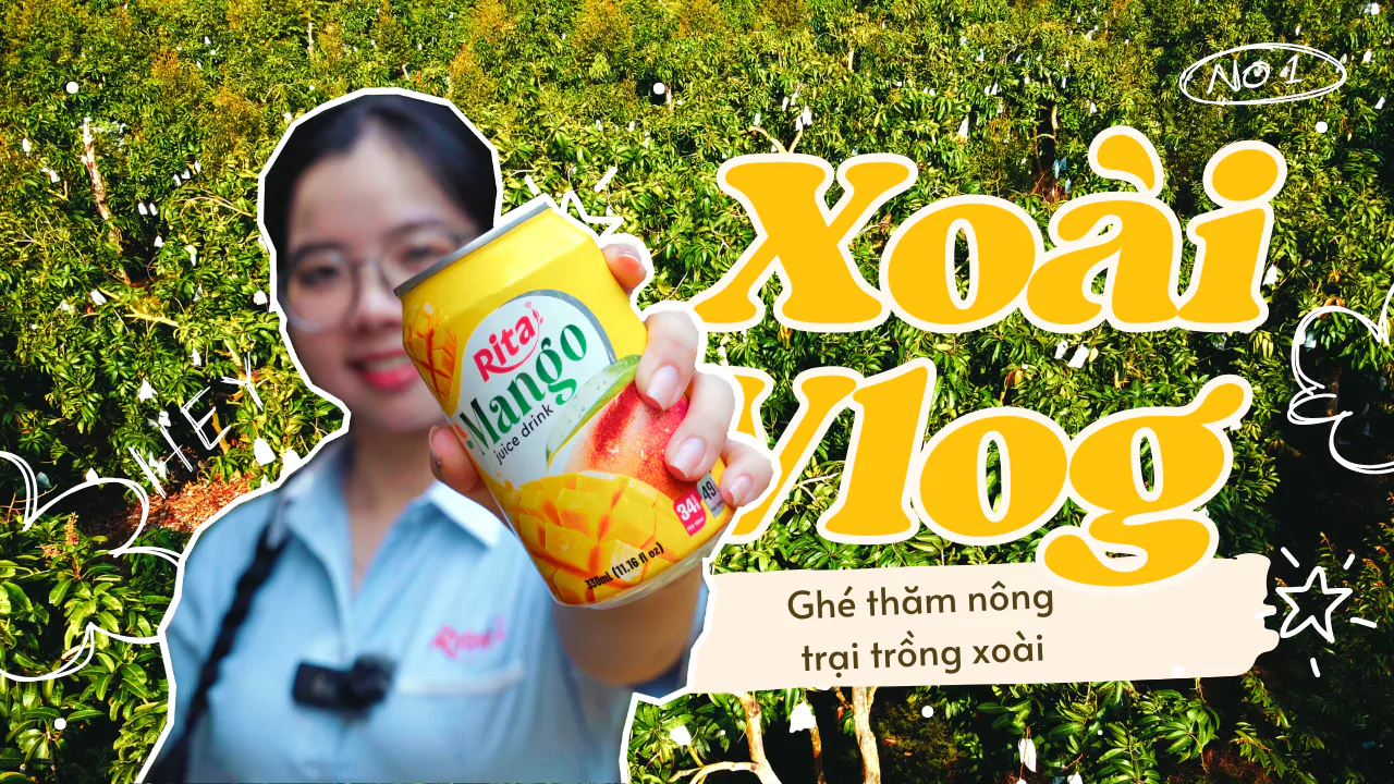 Hành Trình Từ Vườn Xoài Đến Sản Phẩm Nước Ép Cao Cấp Của Nước Giải Khát Rita