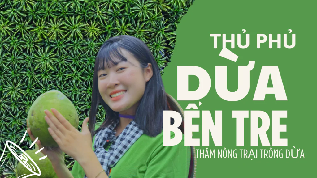 Vườn Dừa RITA Ở Bến Tre Hành Trình Từ Vườn Dừa Organic Đến Sản Phẩm Chất Lượng